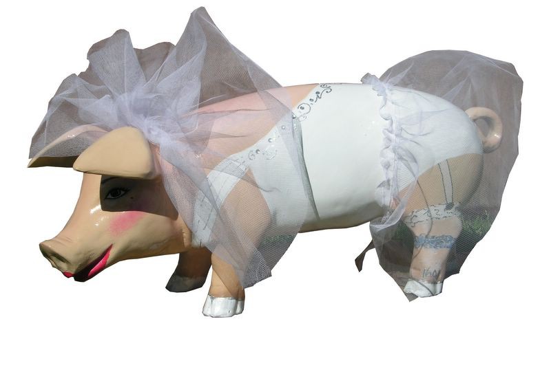 Große Schweine_191