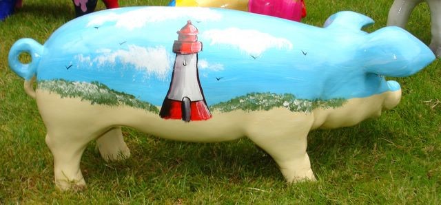 Große Schweine_216