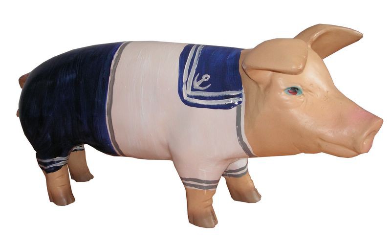 Große Schweine_224