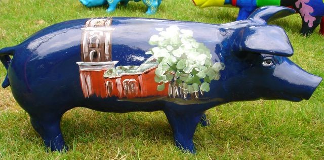 Große Schweine_229