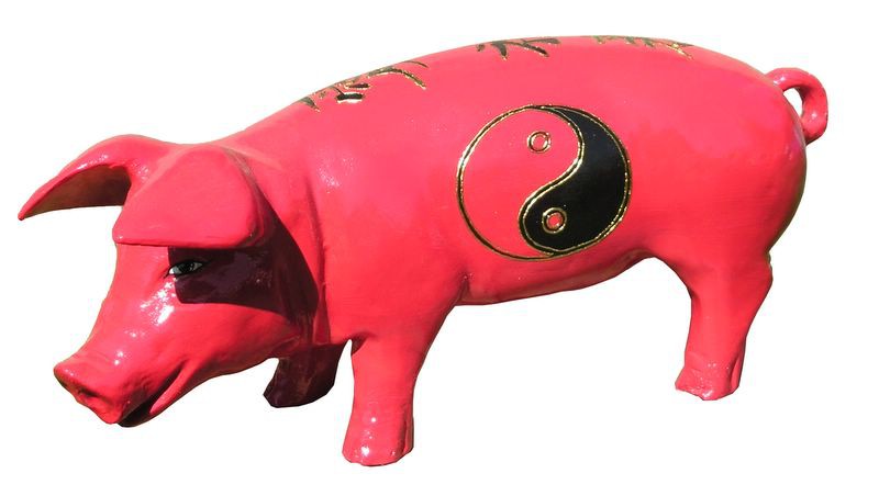 Große Schweine_253