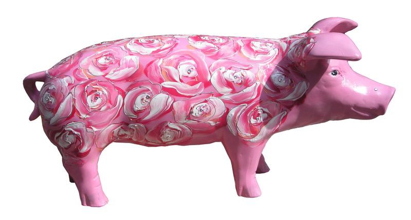 Große Schweine_254