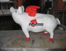 Hummel-Schweine_155