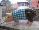 Kleine Schweine_240