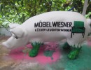 Kleine Schweine_253