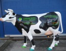 Lebensgrosse Kuh_135