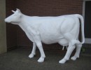 Lebensgrosse Kuh_162