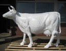 Lebensgrosse Kuh_201