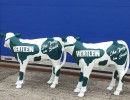 Lebensgrosse Kuh_71