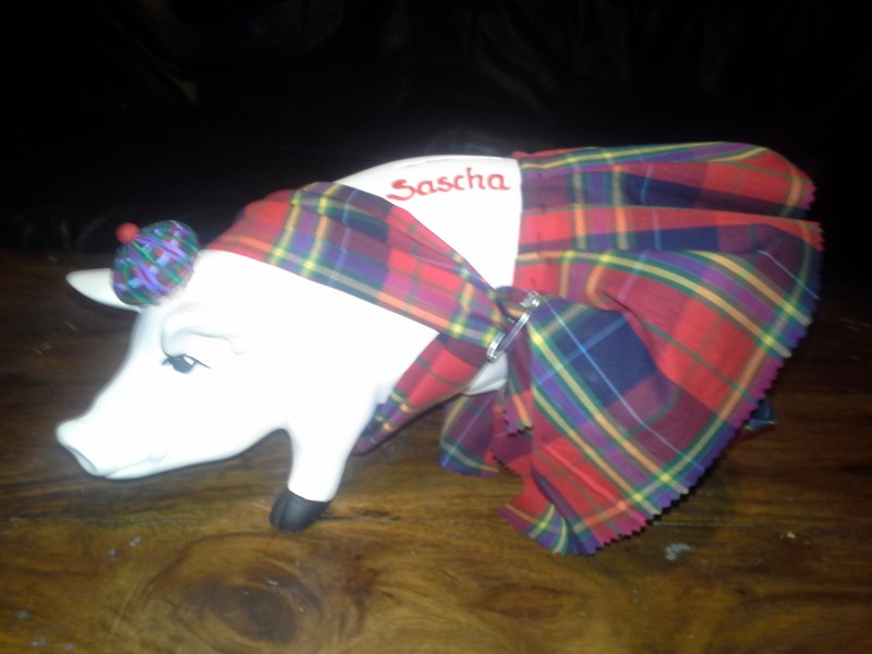 Mini-Schwein_109