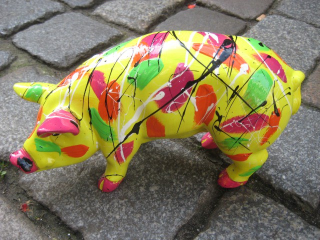 Mini-Schwein_119