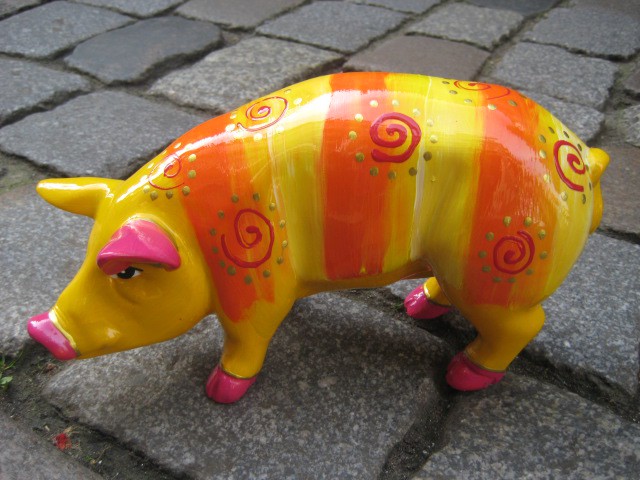 Mini-Schwein_123