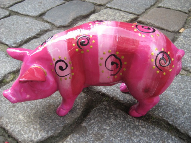 Mini-Schwein_124