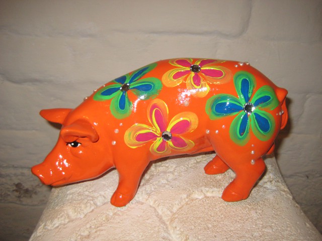 Mini-Schwein_156