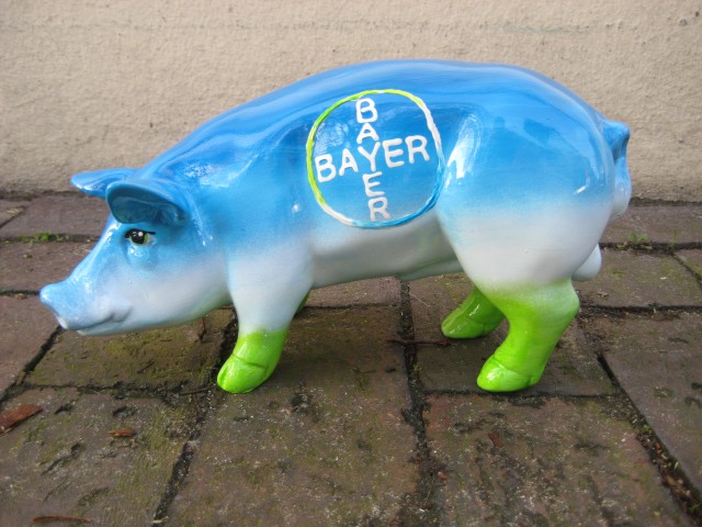 Mini-Schwein_162