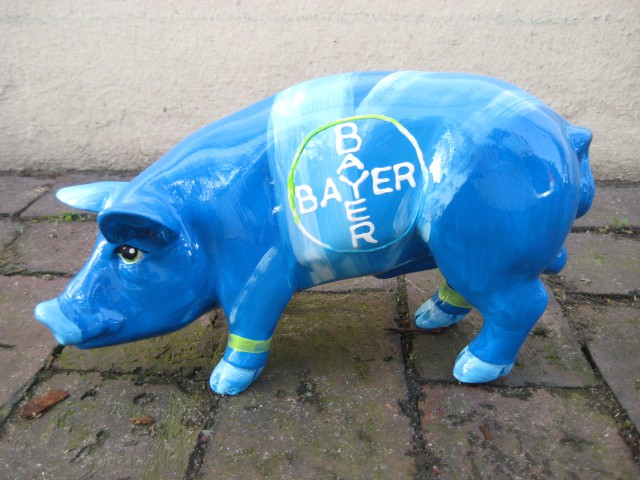Mini-Schwein_164