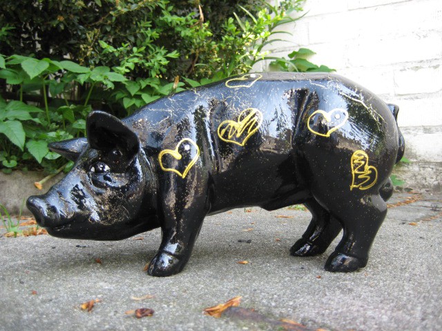 Mini-Schwein_172