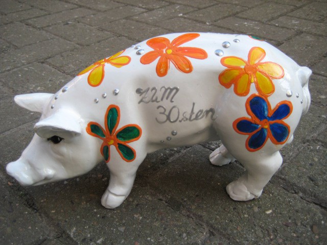 Mini-Schwein_217