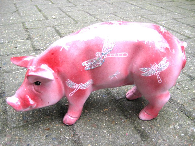 Mini-Schwein_23