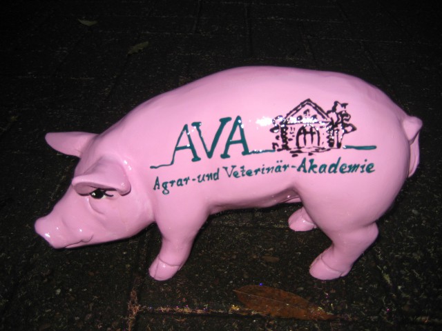 Mini-Schwein_271