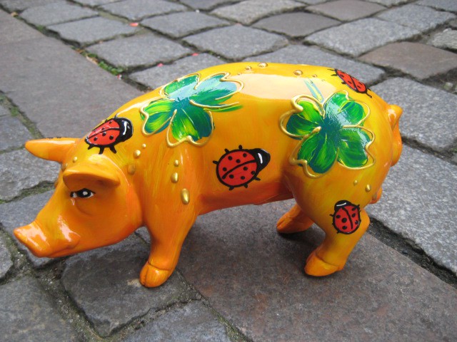 Mini-Schwein_313