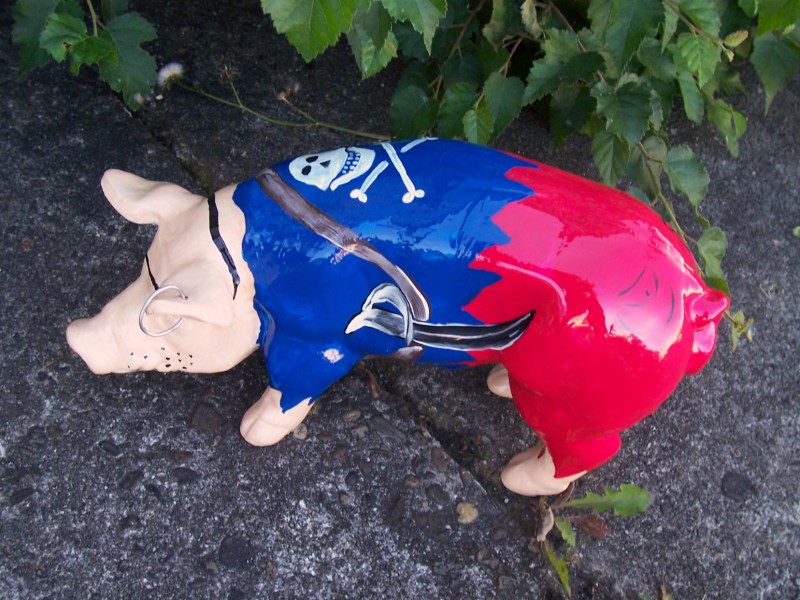Mini-Schwein_36