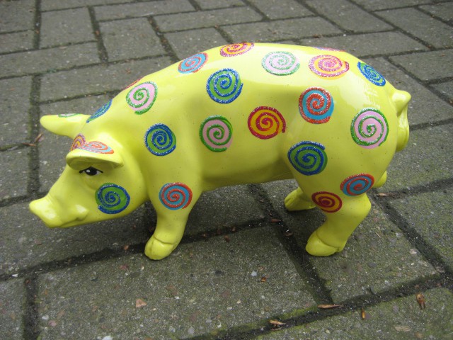 Mini-Schwein_371