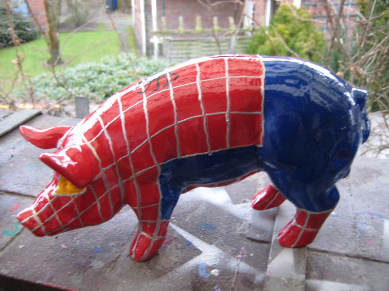 Mini-Schwein_39