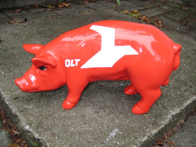 Mini-Schwein_395