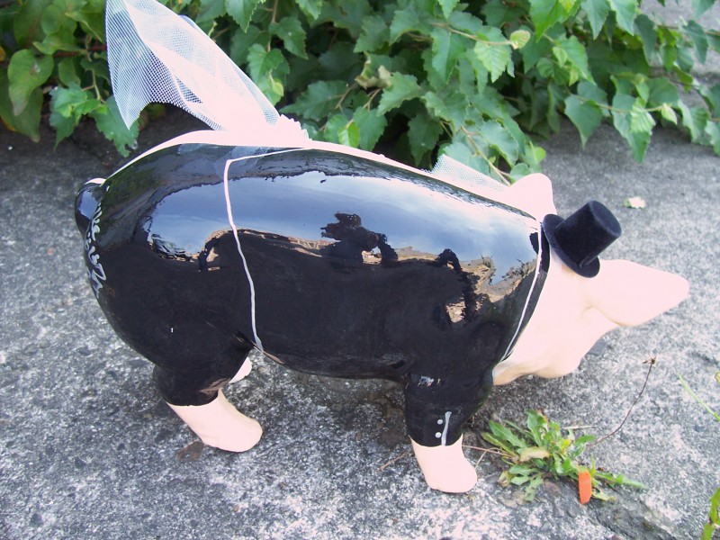 Mini-Schwein_54