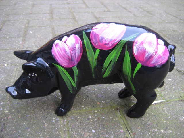 Mini-Schwein_577