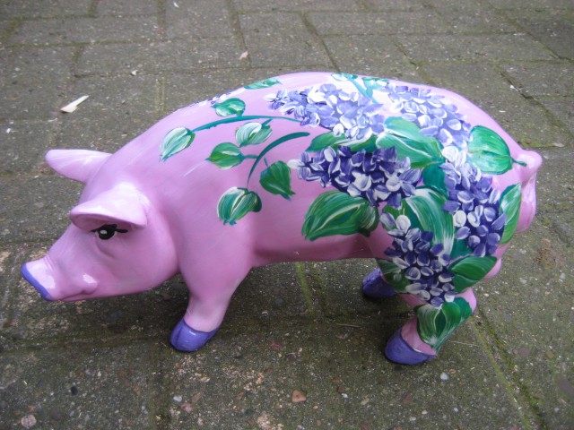Mini-Schwein_579