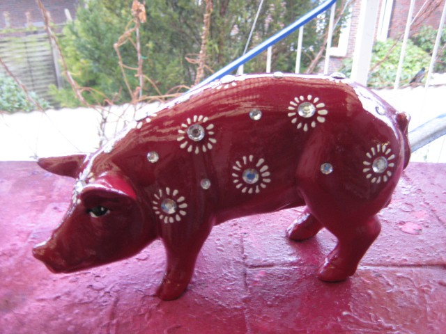 Mini-Schwein_622