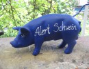 Mini-Schwein_633