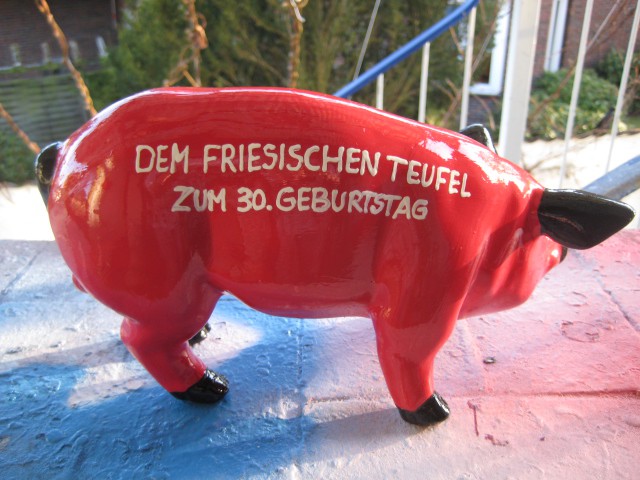 Mini-Schwein_657