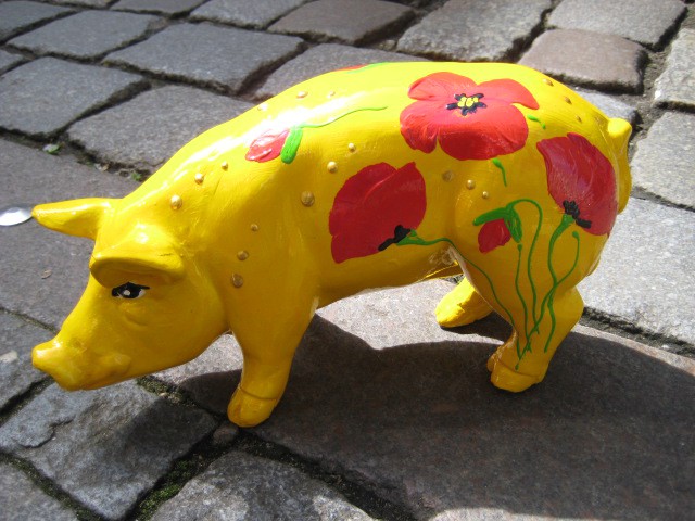 Mini-Schwein_669
