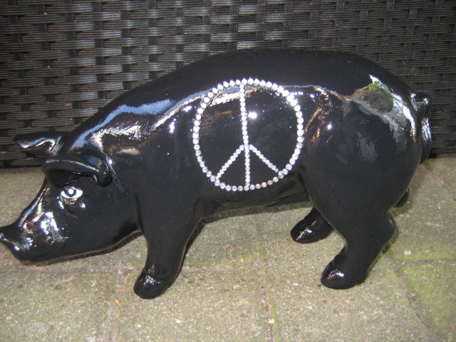 Mini-Schwein_694