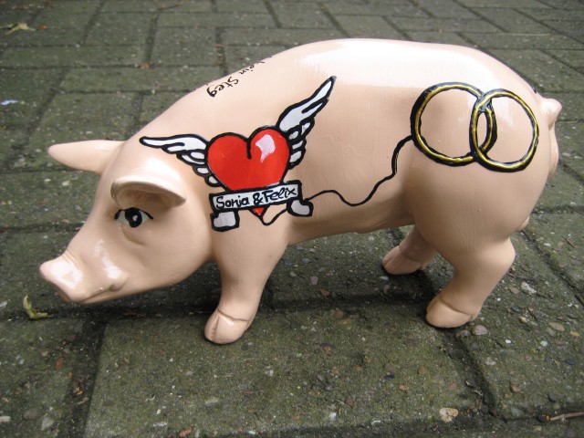 Mini-Schwein_79