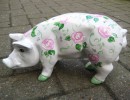 Mini-Schwein_9