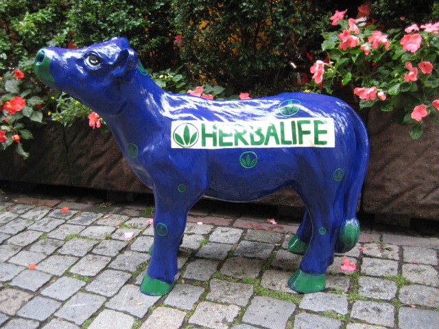 Tiere lebensgroß_124