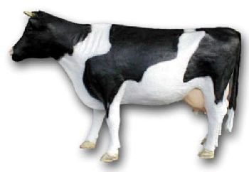Tiere lebensgroß_168