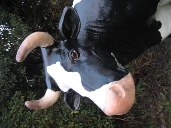 Tiere lebensgroß_183