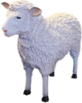 Tiere lebensgroß_234