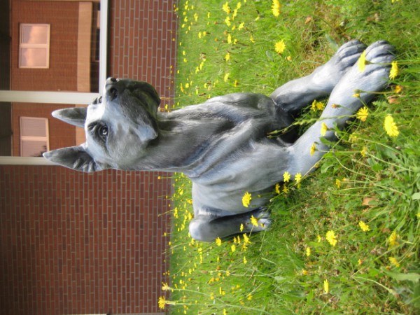 Tiere lebensgroß_281