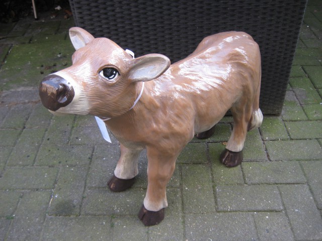 Tiere lebensgroß_284