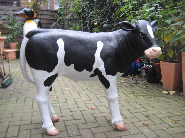 Tiere lebensgroß_326