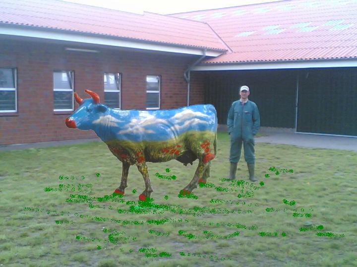 Tiere lebensgroß_374