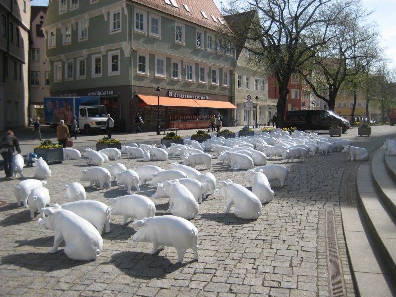 Tiere lebensgroß_96