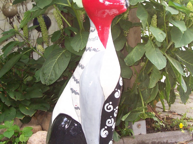 Zoo_102