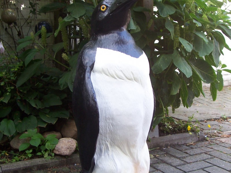Zoo_105